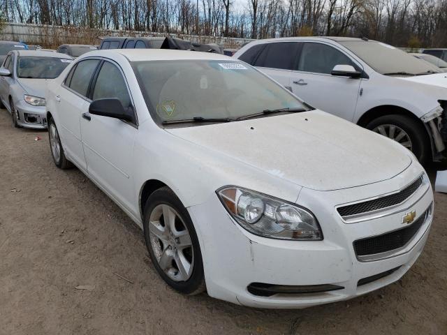 CHEVROLET MALIBU LS 2012 with VIN 1G1ZB5E0XCF172571 - Photo from auction