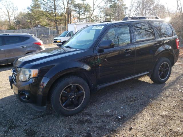 FORD ESCAPE XLT 2009 with VIN 1FMCU93G49KC96538 - Photo from auction
