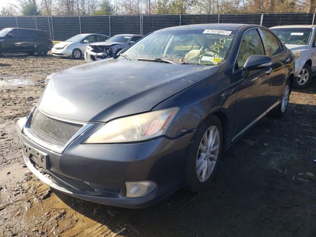 Zdjęcie 2 z aukcji – 2010 LEXUS ES 350 z VIN JTHBK1EGXA2369337