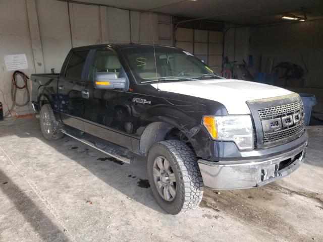 Photo 1 from auction – 2010 FORD F150 SUPER with VIN 1FTFW1EV2AFA25693