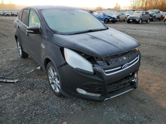 FORD ESCAPE SEL 2013 with VIN 1FMCU9H93DUB32009 - Photo from auction