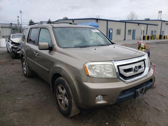 Photo 1 from auction – 2010 HONDA PILOT EXL with VIN 5FNYF4H54AB001129
