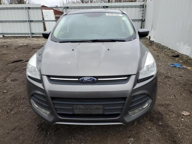 Photo 5 from auction – 2014 FORD ESCAPE SE with VIN 1FMCU0GXXEUC44335