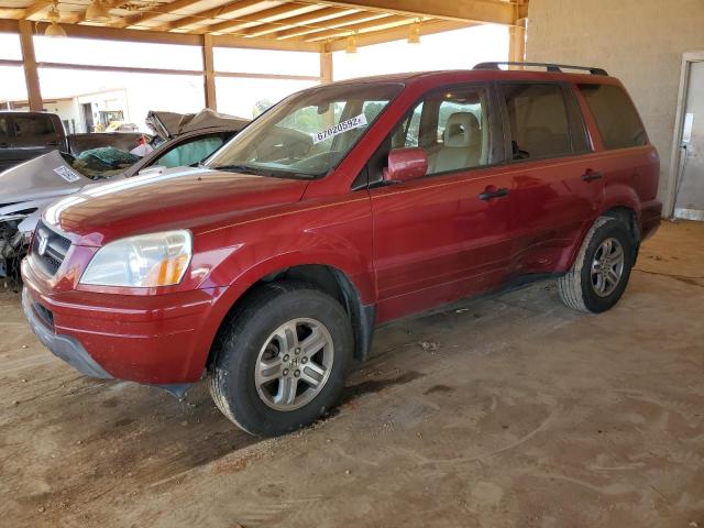 HONDA PILOT EXL 2005 with VIN 5FNYF18505B043544 - Photo from auction