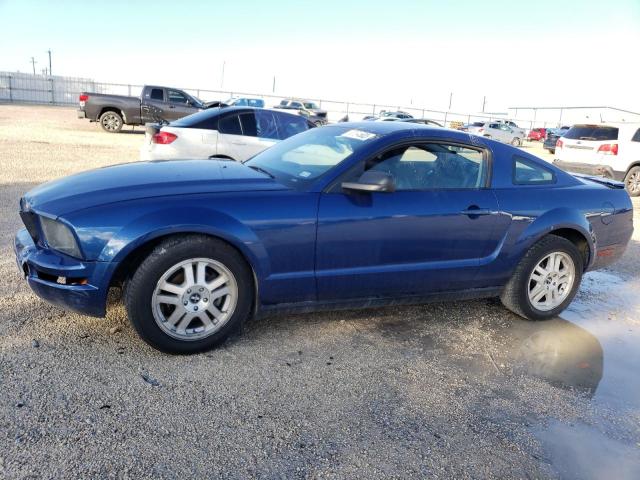 FORD MUSTANG 2007 with VIN 1ZVHT80NX75207154 - Photo from auction