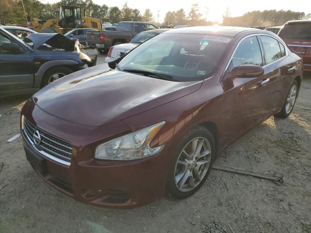 NISSAN MAXIMA S 2010 with VIN 1N4AA5APXAC845020 - Photo from auction