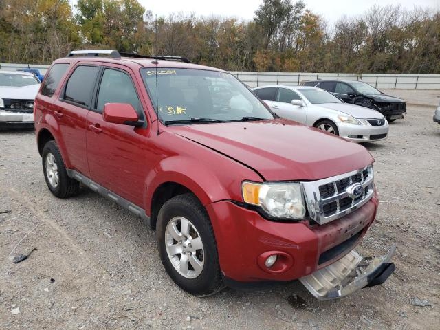 FORD ESCAPE LIM 2010 with VIN 1FMCU0EGXAKB52084 - Photo from auction