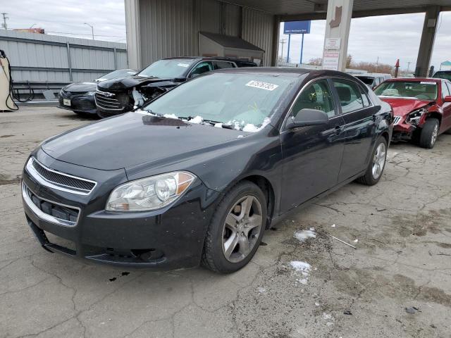 CHEVROLET MALIBU LS 2011 with VIN 1G1ZB5E18BF333393 - Photo from auction