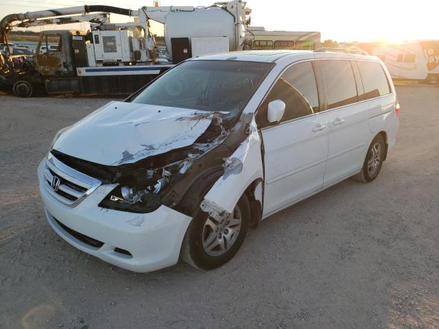 HONDA ODYSSEY EX 2007 with VIN 5FNRL38627B422517 - Photo from auction