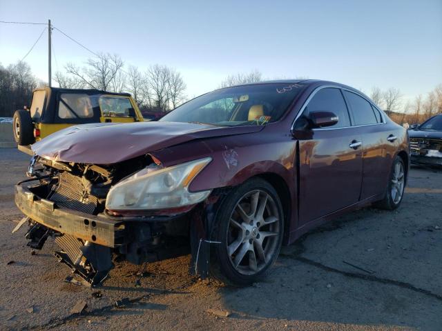 NISSAN MAXIMA S 2011 with VIN 1N4AA5AP3BC846091 - Photo from auction
