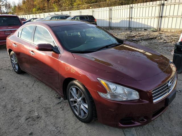 Photo 4 from auction – 2010 NISSAN MAXIMA S with VIN 1N4AA5APXAC845020