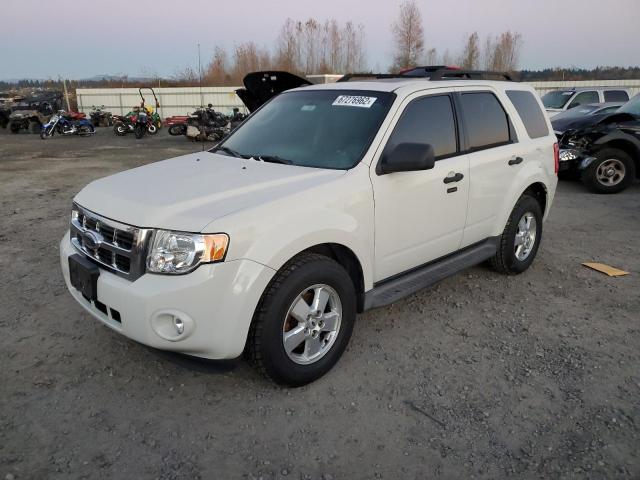 FORD ESCAPE XLT 2009 with VIN 1FMCU93G09KA82503 - Photo from auction