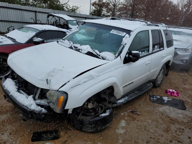 CHEVROLET TRAILBLAZE 2002 with VIN 1GNDT13S022145601 - Photo from auction