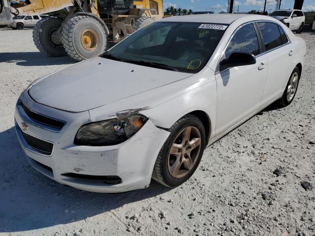 CHEVROLET MALIBU LS 2010 with VIN 1G1ZB5EB4AF249191 - Photo from auction