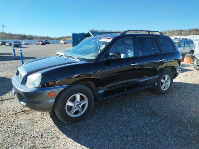 HYUNDAI SANTA FE 2003 with VIN KM8SC13E23U524501 - Photo from auction