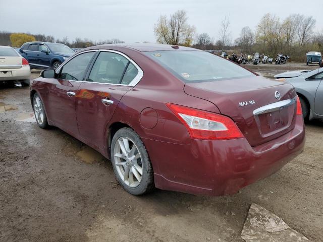 Photo 2 from auction – 2010 NISSAN MAXIMA S with VIN 1N4AA5AP7AC829731