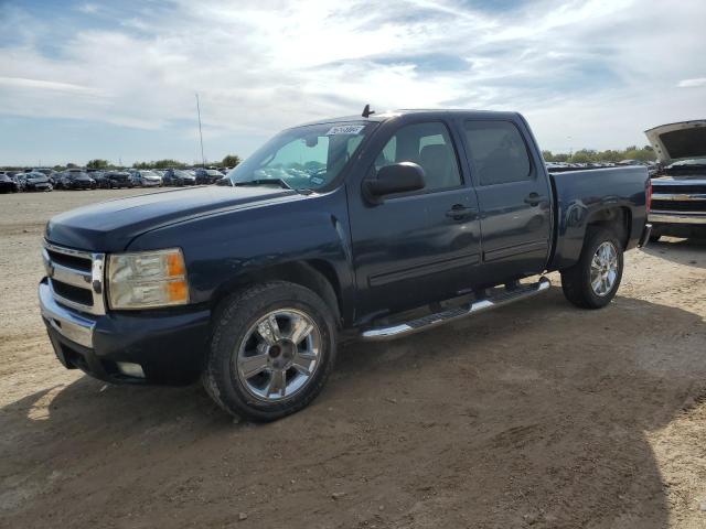 CHEVROLET SILVERADO 2009 with VIN 3GCEK23M49G233737 - Photo from auction