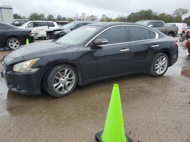 NISSAN MAXIMA S 2011 with VIN 1N4AA5AP4BC852451 - Photo from auction