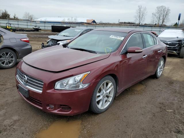 NISSAN MAXIMA S 2010 with VIN 1N4AA5AP7AC829731 - Photo from auction