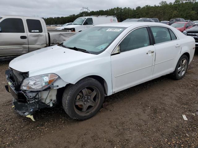 CHEVROLET MALIBU 2010 with VIN 1G1ZC5E06AF131140 - Photo from auction