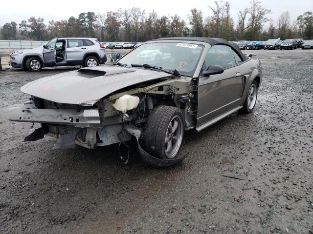 FORD MUSTANG GT 2002 with VIN 1FAFP45X82F186508 - Photo from auction