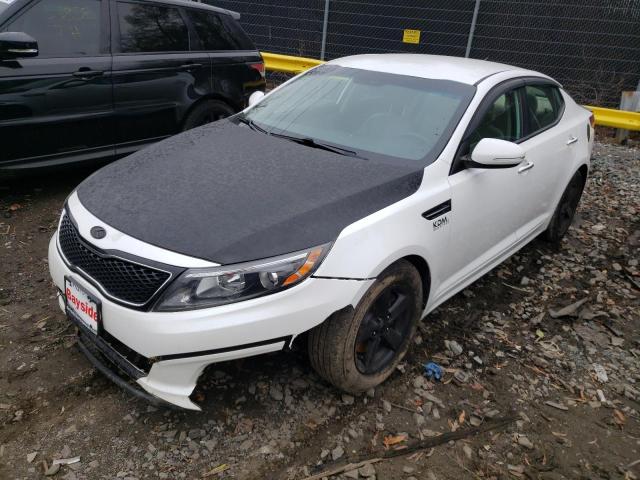 KIA OPTIMA LX 2015 with VIN KNAGM4A71F5527074 - Photo from auction