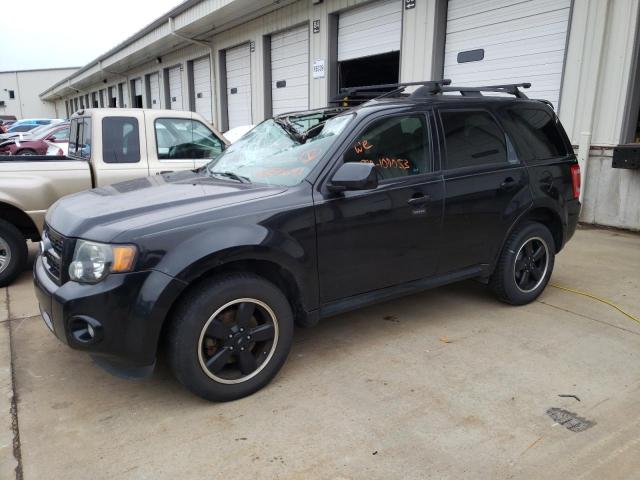 FORD ESCAPE XLT 2011 with VIN 1FMCU0D76BKA25433 - Photo from auction