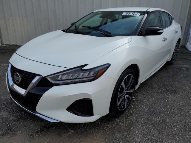NISSAN MAXIMA SV 2022 with VIN 1N4AA6CV5NC501926 - Photo from auction