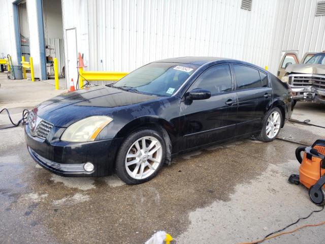 NISSAN MAXIMA SE 2004 with VIN 1N4BA41E94C841672 - Photo from auction