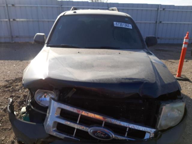 Photo 5 from auction – 2009 FORD ESCAPE XLT with VIN 1FMCU03G29KC31599