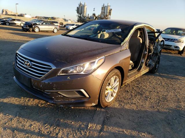HYUNDAI SONATA SE 2016 with VIN 5NPE24AF1GH346226 - Photo from auction