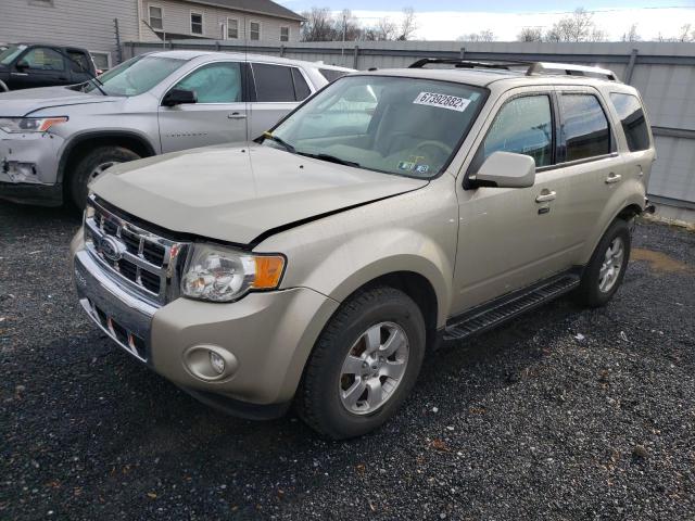 Photo 1 from auction – 2010 FORD ESCAPE XLT with VIN 1FMCU9EGXAKB21602