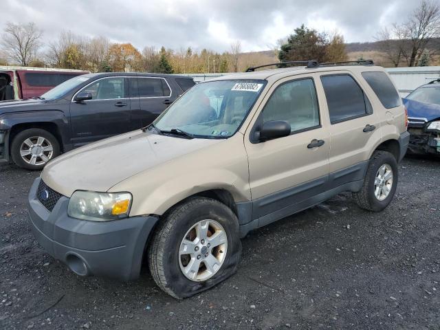 FORD ESCAPE XLT 2007 with VIN 1FMYU93117KB67882 - Photo from auction