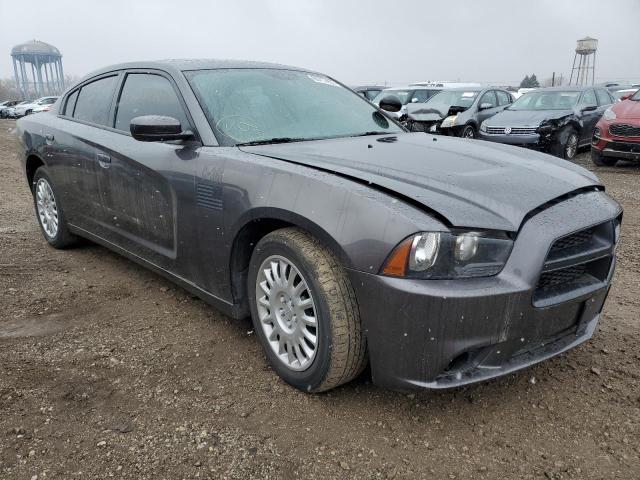 DODGE CHARGER PO 2014 with VIN 2C3CDXKT9EH279988 - Photo from auction