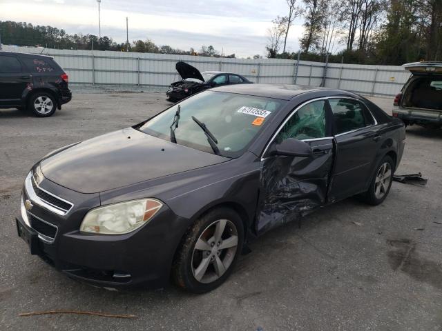 CHEVROLET MALIBU 2LT 2010 with VIN 1G1ZD5EB6A4145503 - Photo from auction