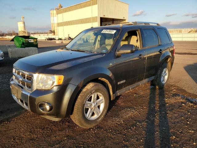 FORD ESCAPE HEV 2008 with VIN 1FMCU49H08KA79151 - Photo from auction