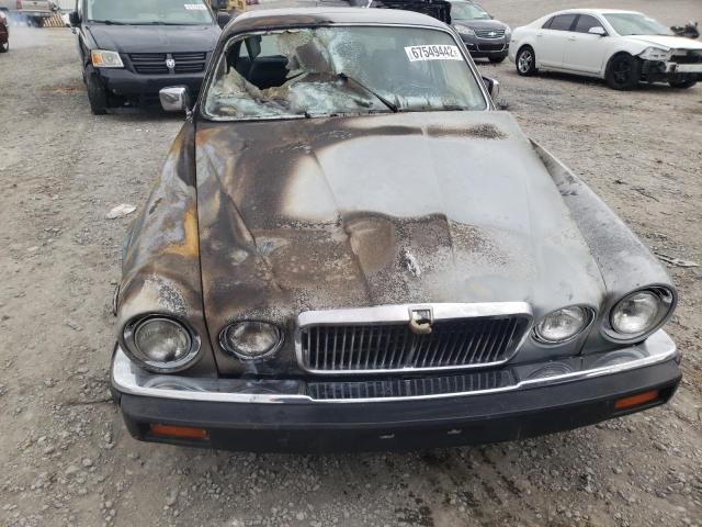Photo 5 from auction – 1985 JAGUAR XJ6 with VIN SAJAV1341FC413046