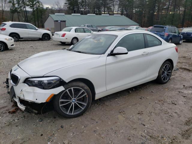 BMW 230XI 2019 with VIN WBA2J3C5XKVD49218 - Photo from auction