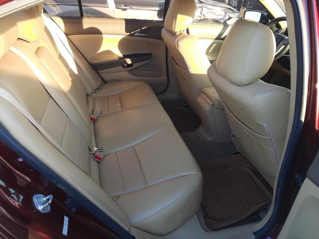 Photo 10 from auction – 2010 HONDA ACCORD LXP with VIN 1HGCP2F42AA160277