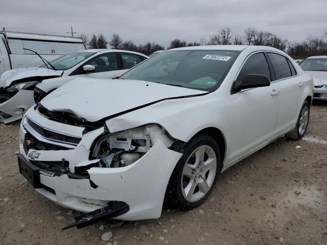 CHEVROLET MALIBU LS 2011 with VIN 1G1ZB5E13BF213825 - Photo from auction
