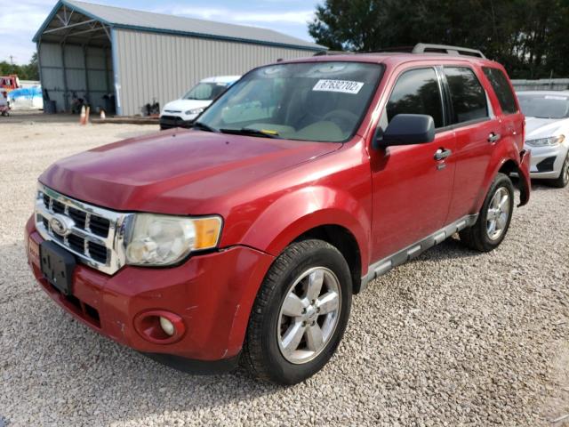 FORD ESCAPE XLT 2010 with VIN 1FMCU0D7XAKD31033 - Photo from auction