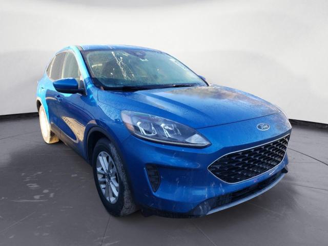FORD ESCAPE SE 2020 with VIN 1FMCU0G69LUB19346 - Photo from auction