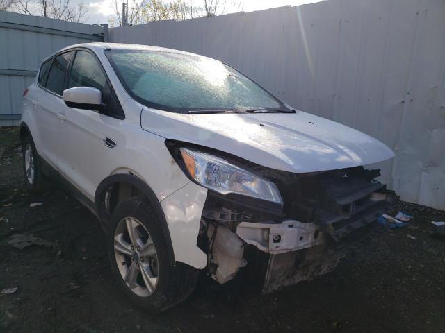 Photo 4 from auction – 2013 FORD ESCAPE SE with VIN 1FMCU0G93DUC33368