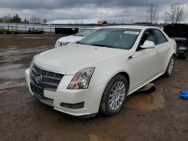 CADILLAC CTS 2011 with VIN 1G6DC5EYXB0165189 - Photo from auction