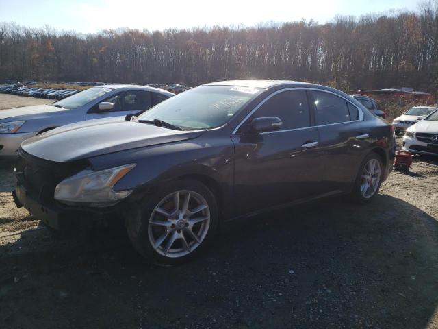 NISSAN MAXIMA S 2009 with VIN 1N4AA51E09C860376 - Photo from auction