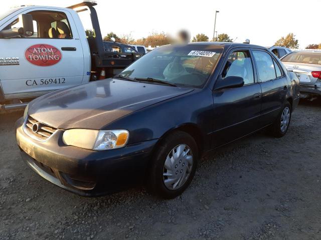TOYOTA COROLLA CE 2001 with VIN 1NXBR12E81Z491856 - Photo from auction