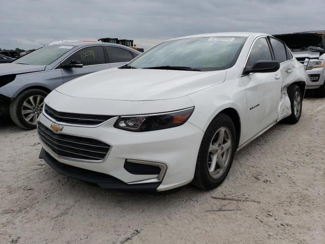 CHEVROLET MALIBU LS 2017 with VIN 1G1ZB5STXHF288181 - Photo from auction
