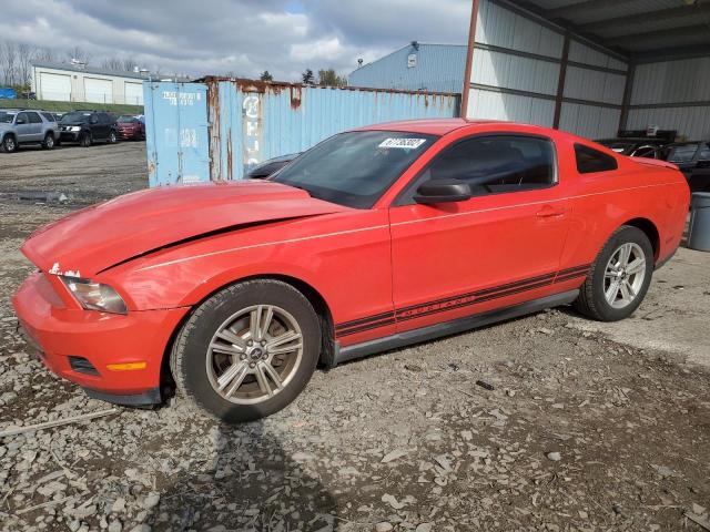 FORD MUSTANG 2011 with VIN 1ZVBP8AM4B5114588 - Photo from auction