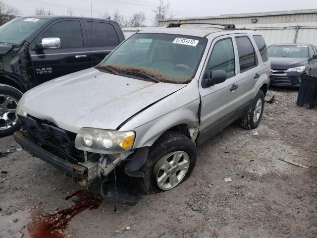 Photo 1 from auction – 2005 FORD ESCAPE XLT with VIN 1FMYU93165KE16111