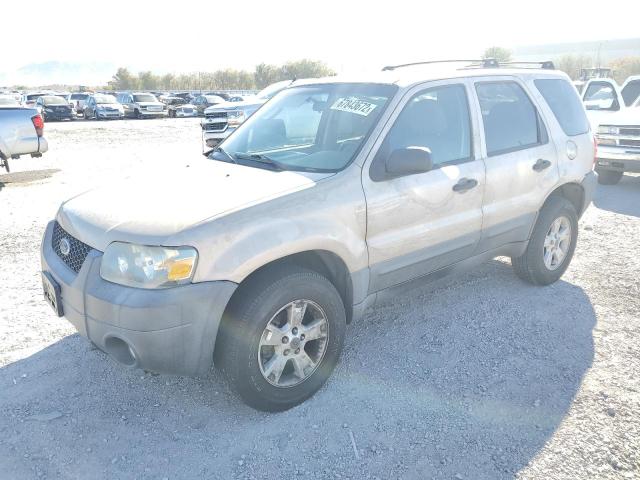 FORD ESCAPE XLT 2007 with VIN 1FMCU03Z17KB96228 - Photo from auction